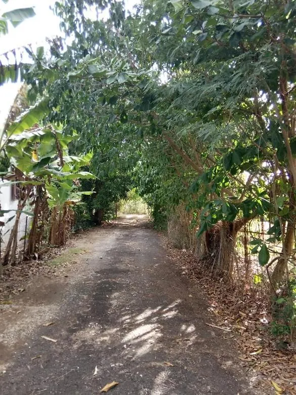 Bungalow au vert pour un séjour zen! Saint-Francois  Guadeloupe